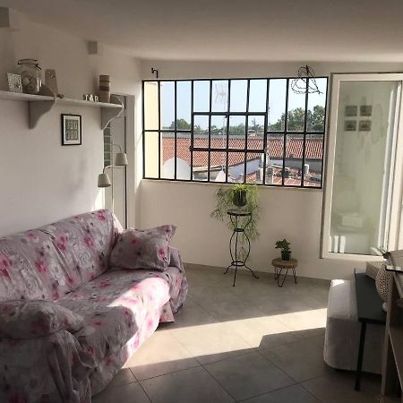 B&B Rooftop51 Ρίμινι Εξωτερικό φωτογραφία