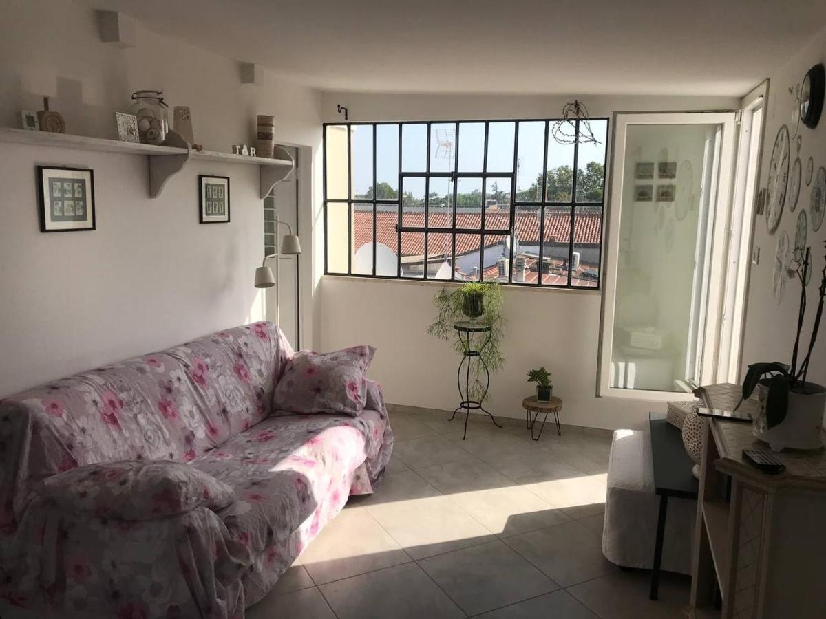 B&B Rooftop51 Ρίμινι Εξωτερικό φωτογραφία